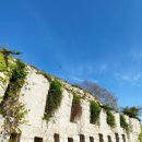 매미성 주차장 이미지