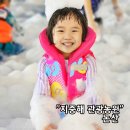 여름철 휴가와 무더위를 날려버리는 환상적인 물놀이 지중해 관광농원 방문후기와 자리선택, 주차, 꿀팁