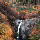 대구경북흥사단 제482차 산행및 흥사단 YKA 합동 산행후기 이미지