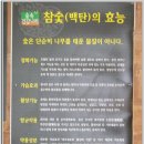 웰빙건강나라 이미지