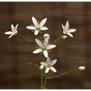 평안꽃식물원 이미지