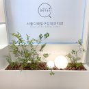 조경그룹뜰