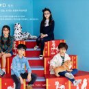 봄,안경 이미지