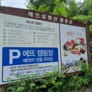 경기도 가평 계곡 물이 좋은 에뜨유명산 오토캠핑장 그리고 양평 사나사 계곡 방문 후기