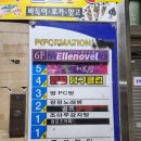 [대전 월평동 파티룸] 엘르노블 바이올렛