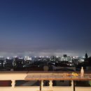 신산시장 네이버블로그