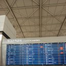 몽펠리에 | 중국동방항공 유럽 프랑스 인천-상해(푸동공항)-마르세유- 몽펠리에 후기