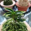 희옥농장 이미지