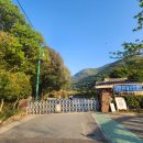 화홍초등학교 티스토리