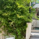 효창공원 이미지