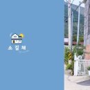 소길채 이미지