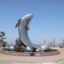 임자도 대둔산 산행안내 &amp; 신청 이미지