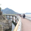 낙동강변27 이미지