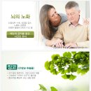 징코바이오 이미지