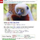 #CNN #KhansReading 2017-03-04-3 Lemurs are under huge threat 이미지