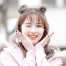 로하 이미지