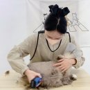 재이미 이미지