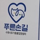 수원시동물보호센터 동물병원 이미지