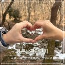 용문산 종합관광안내소 | 겨울 국내여행 양평 가볼만한곳 용문사 용문산관광단지