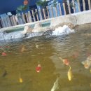 대전아쿠아리움 이미지