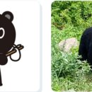 김창규농장 이미지