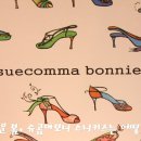 슈콤마보니서면 이미지