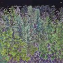 오이코스 이미지