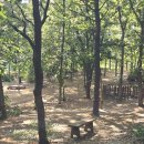 전주이씨 상원군 이세령가문 충신열녀정려편액 이미지