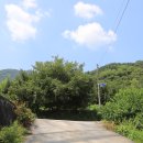 장군마을2길 Daum카페