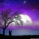 프로방스 포토랜드 이미지