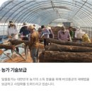 농업회사법인주식회사일월종가