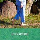 큰나무요양병원 | 일산요양원 큰나무요양병원 위치와 시설이 뛰어난 요양병원 추천