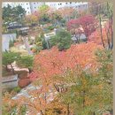 더좋은힐스공인중개사사무소 이미지