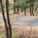 한양컨트리클럽 이미지