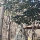 가리산 | 블랙야크100대명산 홍천 가리산 등산 후기 | 자연휴양림 코스 완벽 정리⛰️🏕️