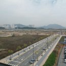 국세청 옆 이미지