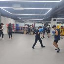 SY 주짓수&복싱 이미지