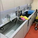 애견#(샾) 이미지