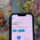 인스타 릴스 수익화 조건 팔로워 늘리기 진행한 후기