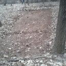 새벽숲농장 이미지