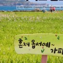 제주여행섬 이미지