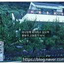 하잇돌 네이버블로그