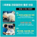 푸른힐동물병원 이미지