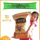 누네띠네 이미지