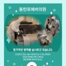 포에버의원 이미지