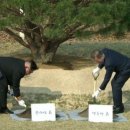 흙과소나무 이미지