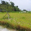 춘포면-12 이미지