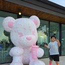아이와 강릉여행 중에 발견한 디저트39 강릉 종합운동장점 포토존까지 완벽
