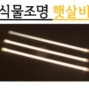 태양전파사 이미지