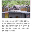 중산리 관광지 이미지